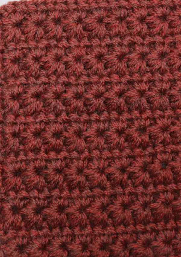 How to crochet the star stitch in easy steps. 2 row repeat.